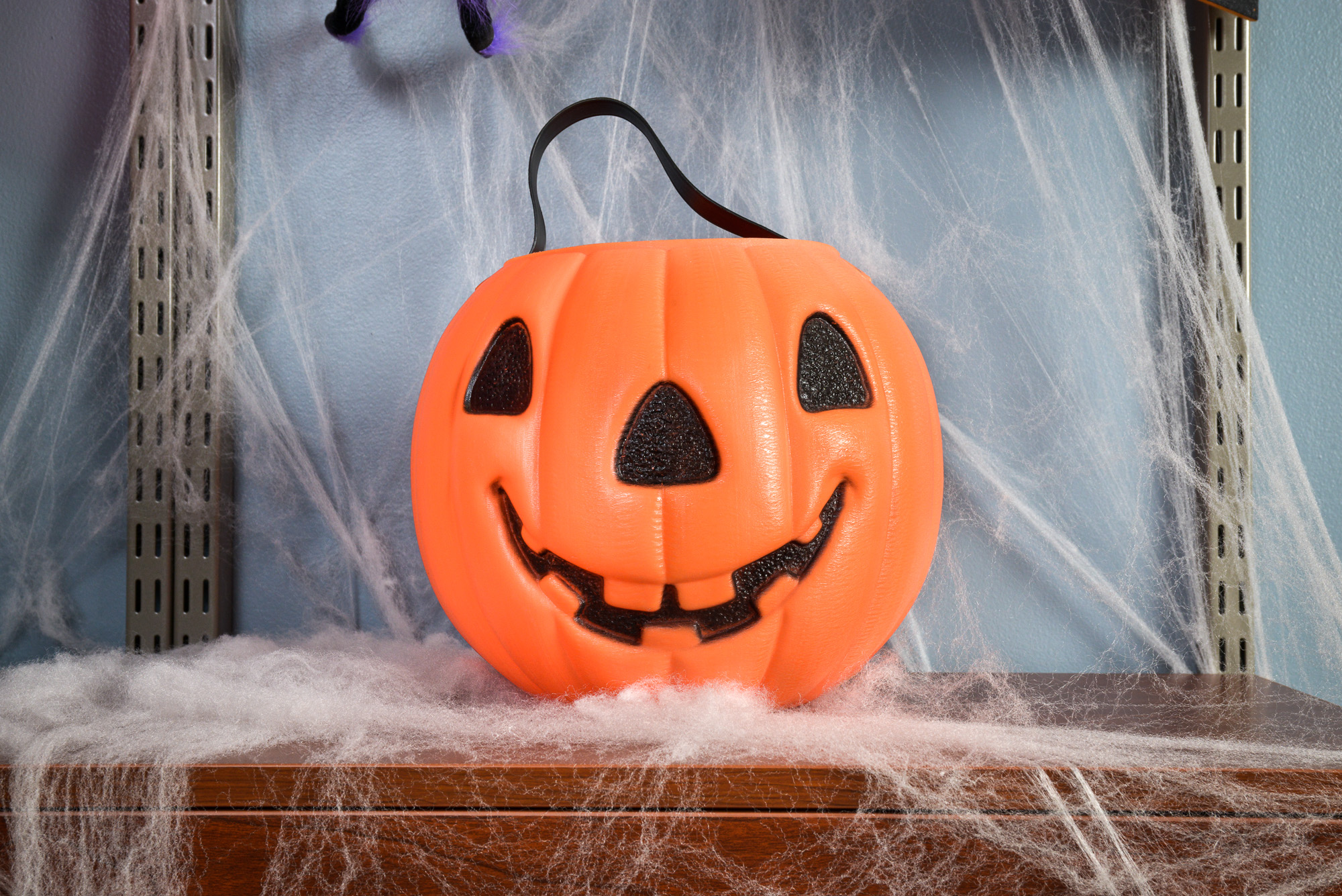 Pumpkin in a freedomRail Closet with fake spiderwebs and blue wall.